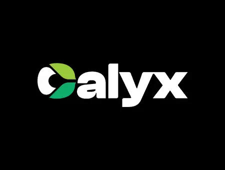 https://defcon.outel.org/defcon33/images/logos/vend-calyx.webp